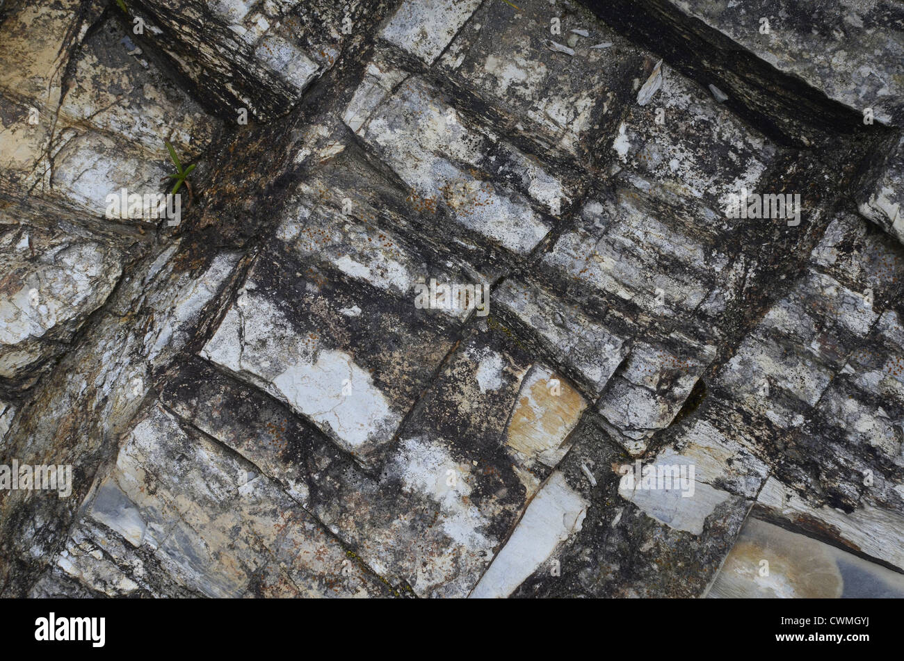 Cornwall - Costa la textura de la roca de fondo de papel tapiz en la región entre el par y Polkerris Sands. Concepto de "caer sobre suelo pedregoso', advertencias o consejos. Foto de stock