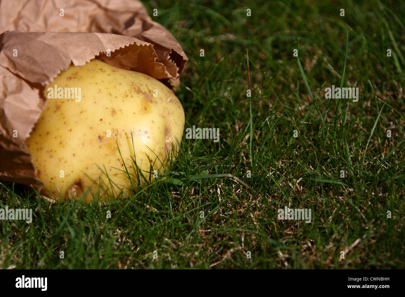Una patata que sobresale de una bolsa de papel marrón sobre el césped Foto de stock