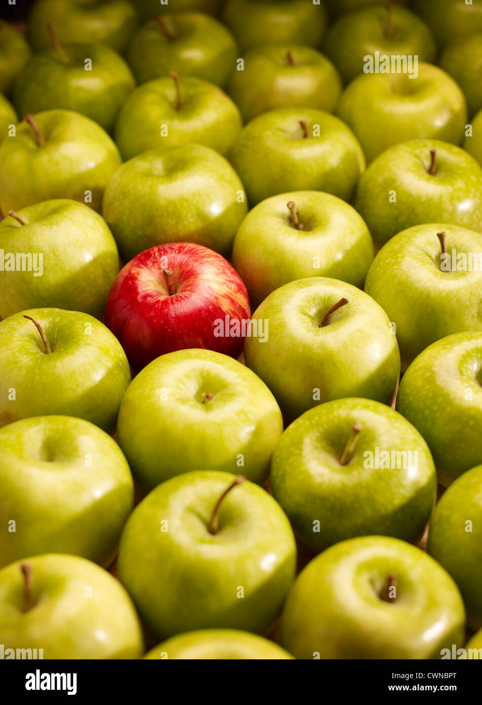 Una manzana roja entre muchas manzanas verdes Foto de stock