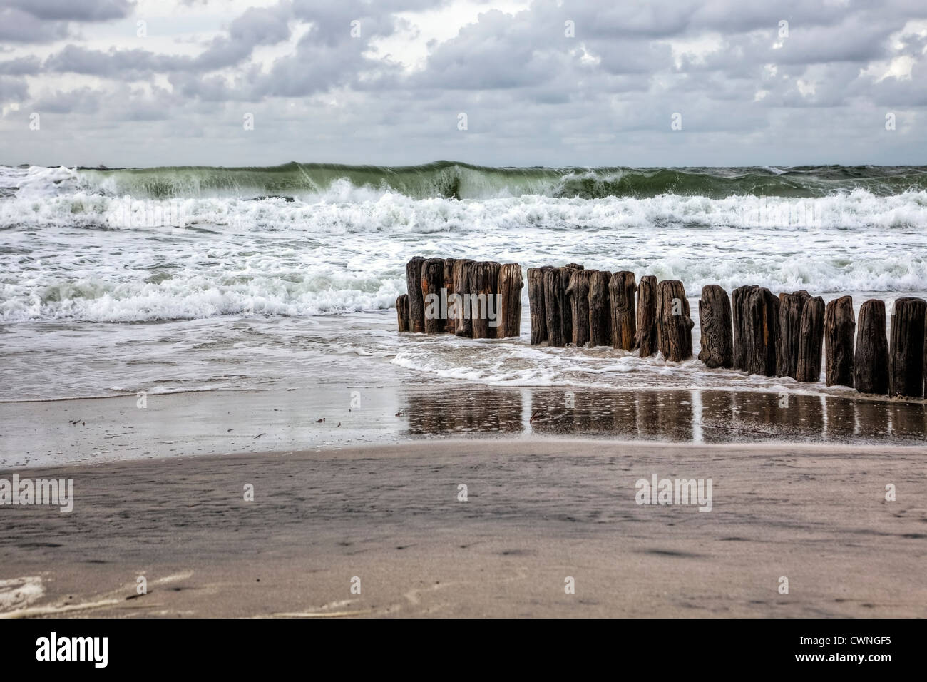 Espigón, playa, Kampen, Sylt, Mar del Norte, Schleswig-Holstein, Alemania Foto de stock