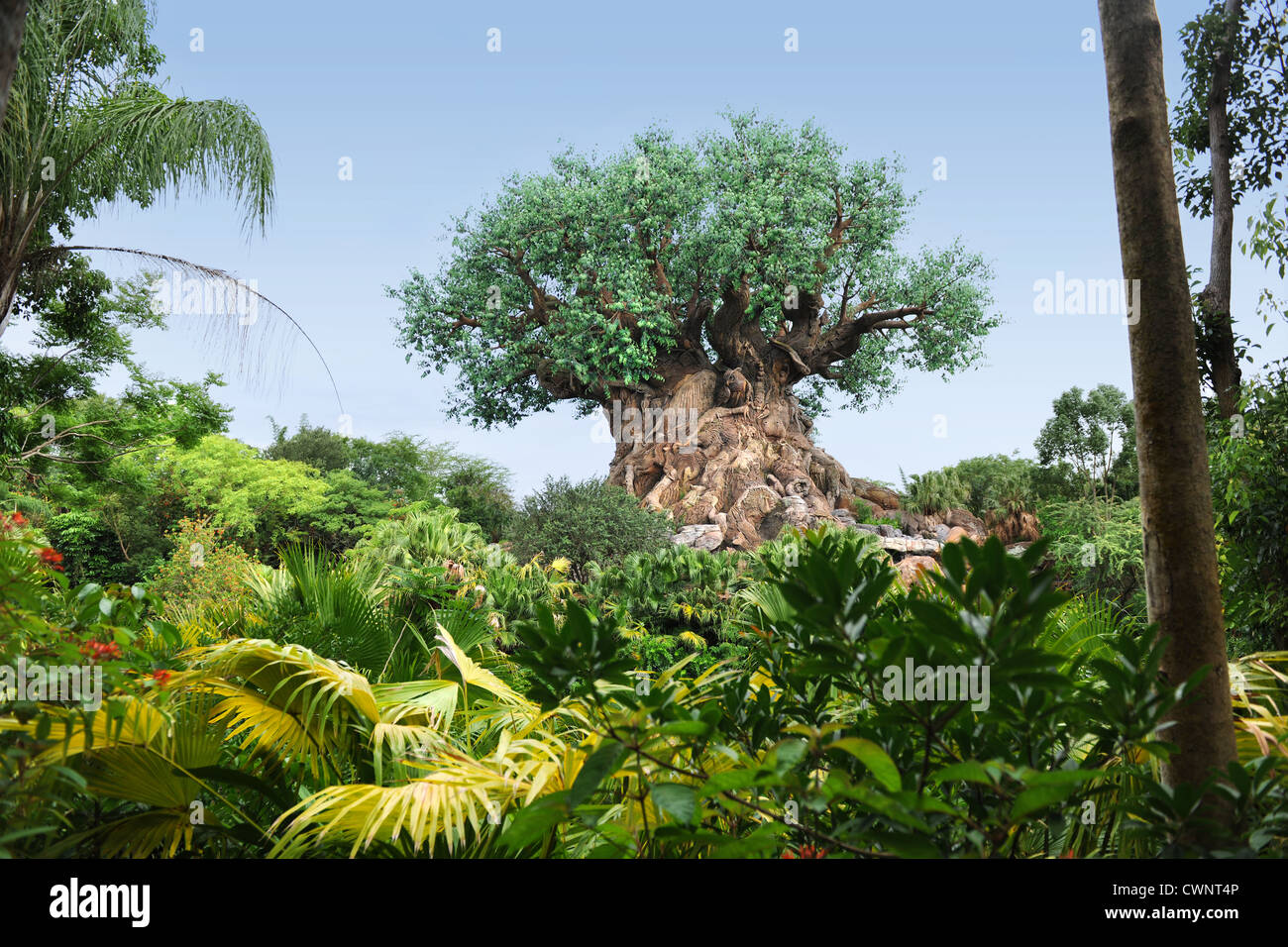ORLANDO, Florida - Junio 05, 2012: El árbol de la vida en el Reino Animal de Disney Foto de stock
