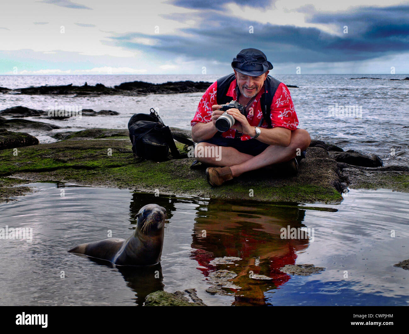 El fotógrafo Barry Lewis, fotografiando un león marino en Puerto Egas, Isla James, las Islas Galápagos. Foto de stock
