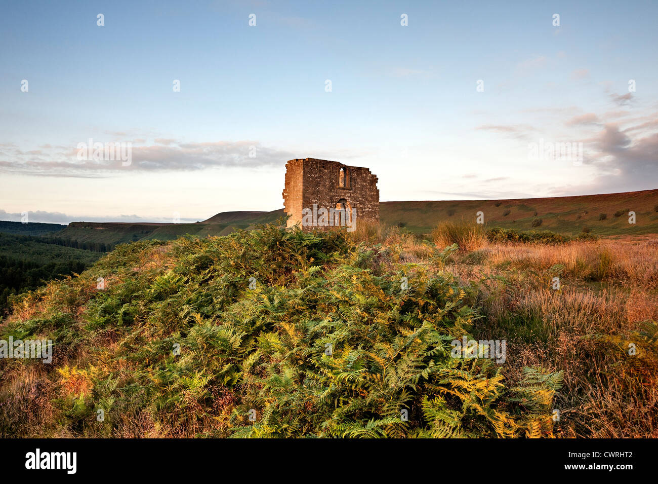 La ruina de Skelton Tower con vistas Newtondale en North Yorkshire Moors National Park Foto de stock