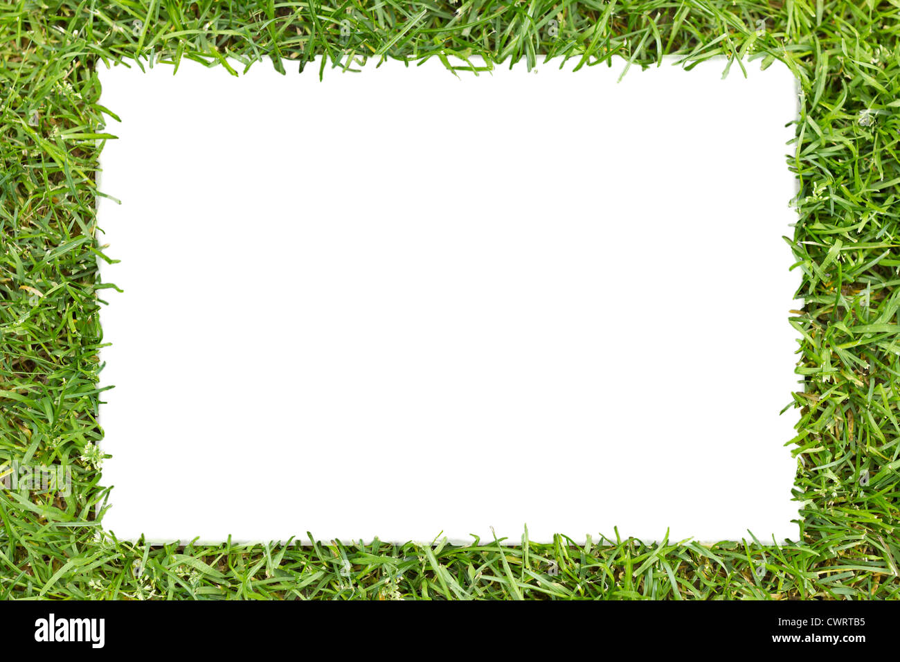 Bastidor de hierba verde con texto blanco en forma de rectángulo. Foto de stock