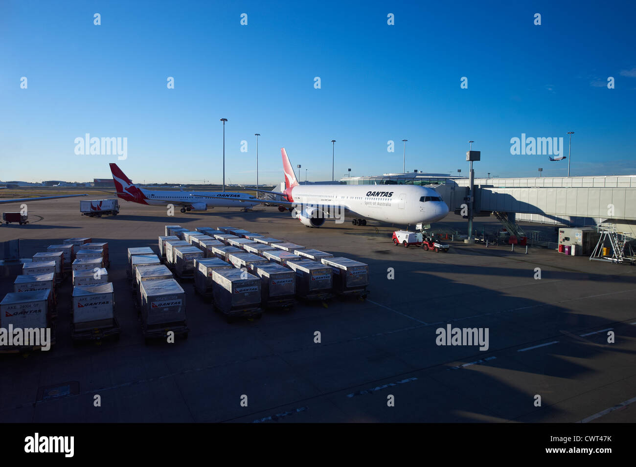 Los aviones de Qantas en la terminal nacional del aeropuerto de Brisbane en Australia Foto de stock