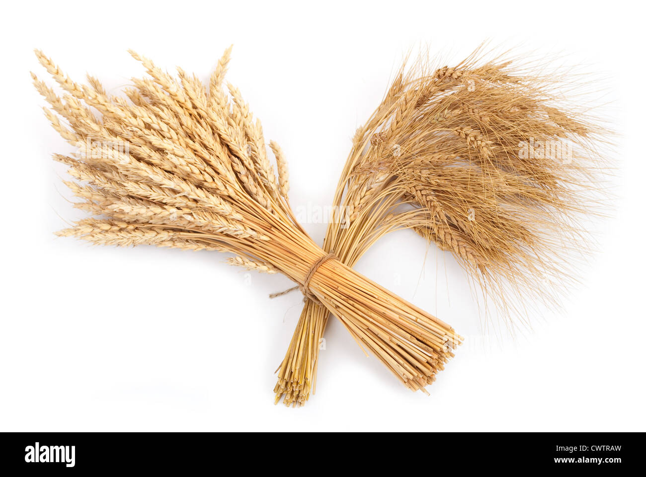 Gavilla de trigo y centeno Foto de stock