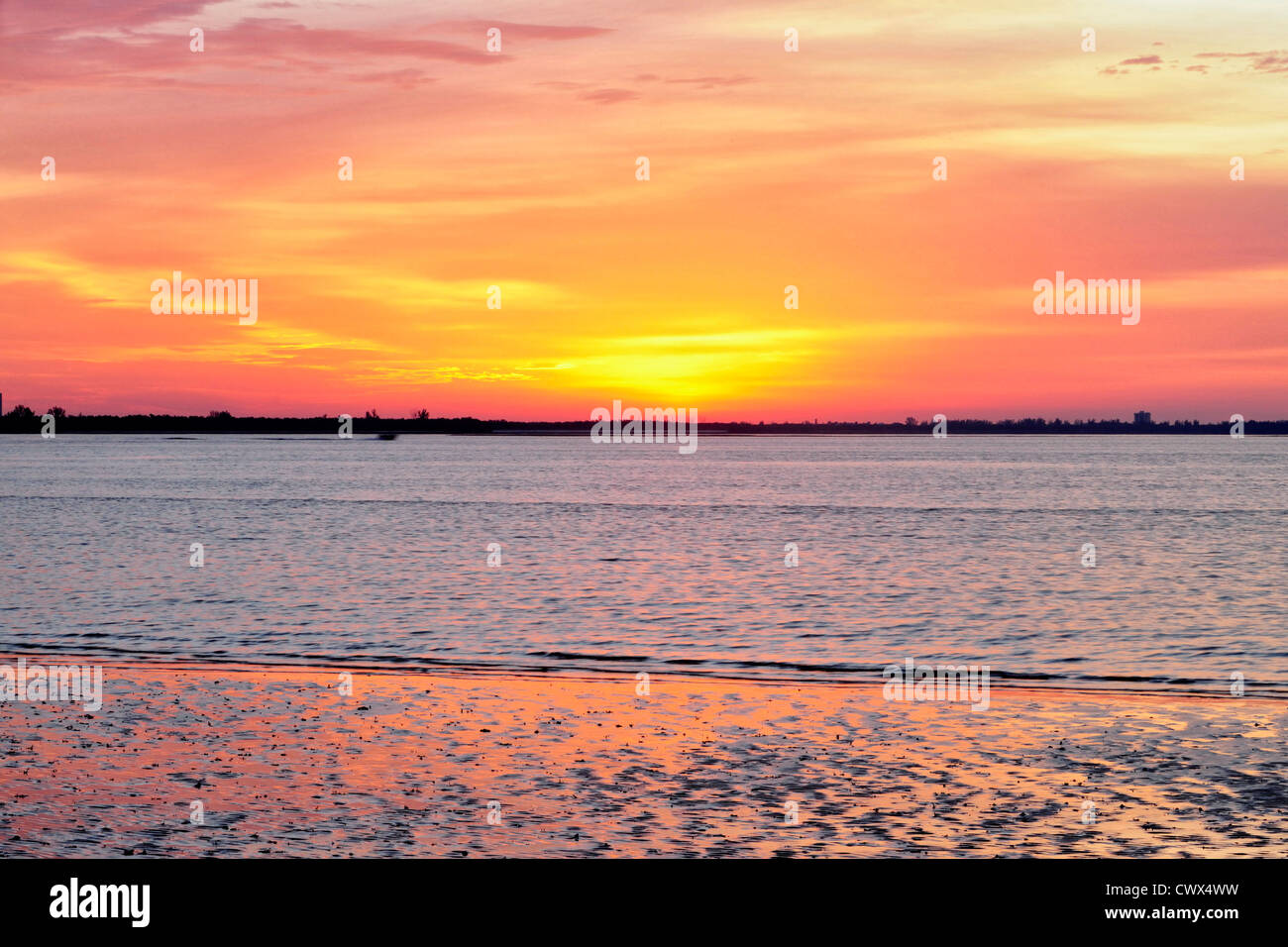 Bajamar Marismas de Isla Sanibel Causeway shoreline al amanecer, Sanibel Island, Florida, EE.UU. Foto de stock