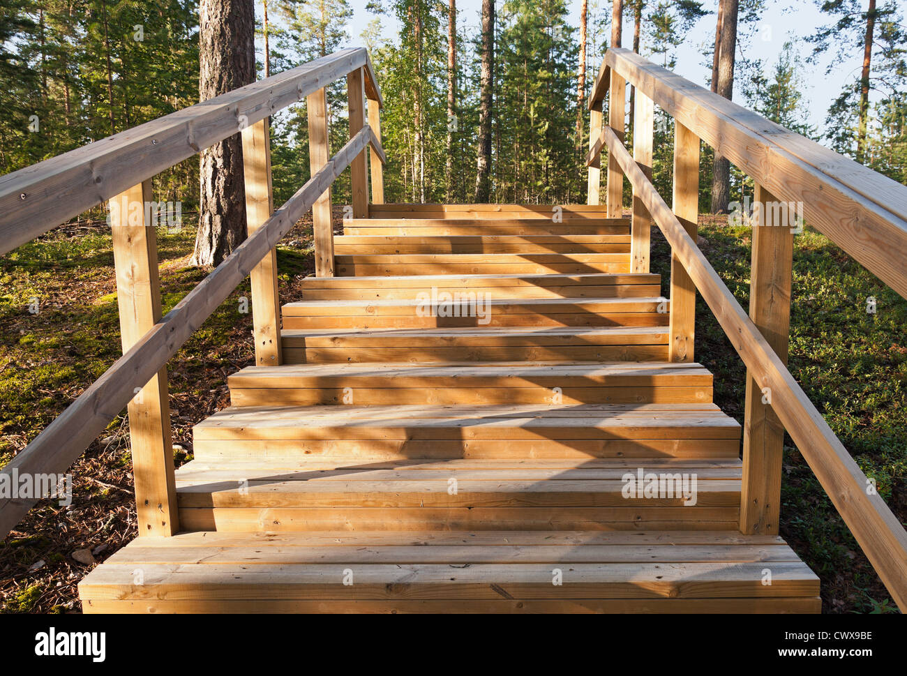 Sube la escalera de madera en el bosque. Ciudad Imatra, Finlandia Foto de stock