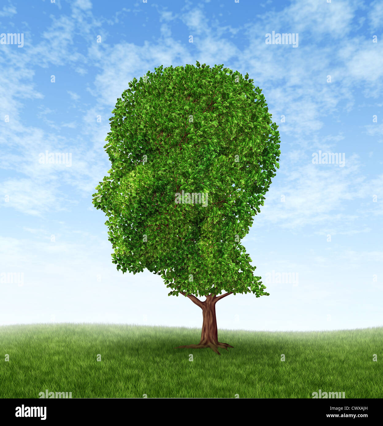 El crecimiento personal y el desarrollo de la personalidad como un símbolo de la psicología médica con un árbol en la forma de una cabeza humana y brai Foto de stock