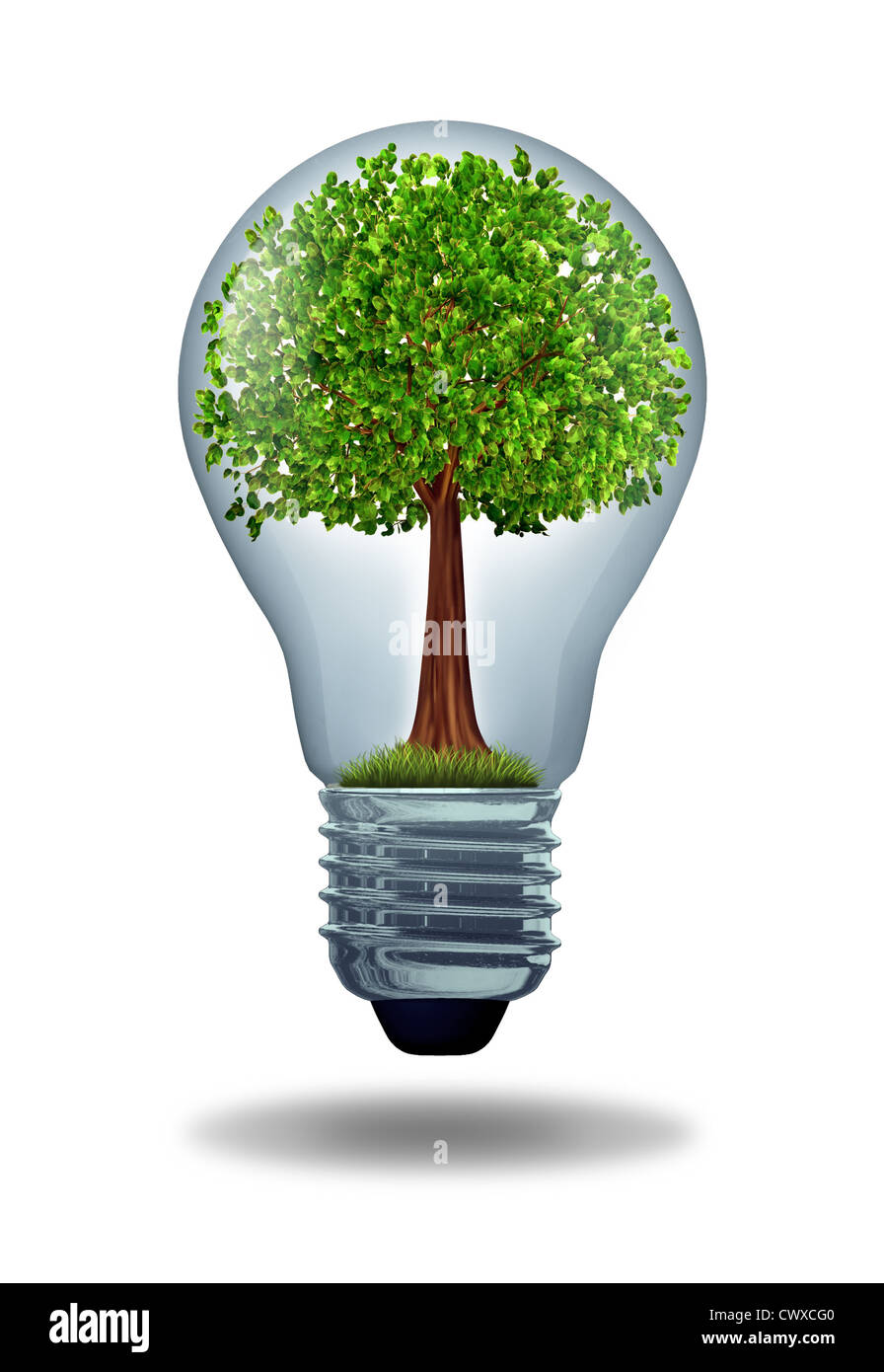Medio ambiente y energía verde Símbolo de conservación ecológica y alternativa  para obtener energía eléctrica y mejorar la parrilla de salida Fotografía  de stock - Alamy