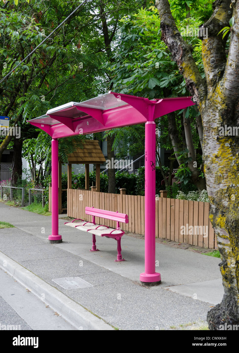 Parada de autobús rosa en Davie Village (Gaybourhood), Vancouver, British Columbia, Canadá Foto de stock