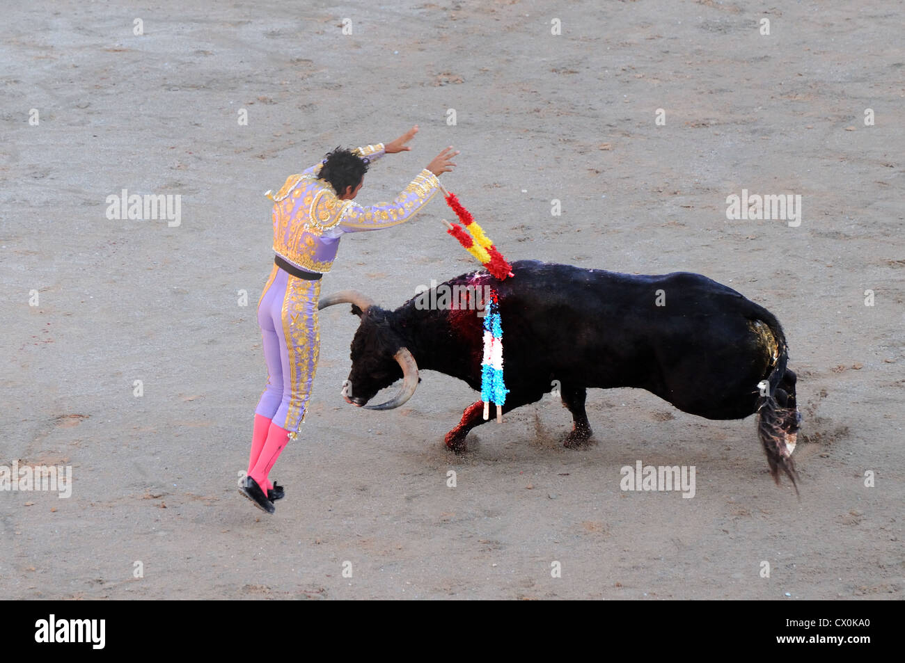 Matador lanzas de siembra en el lomo del toro de carga corrida toros en arena romana Arles Francia Foto de stock