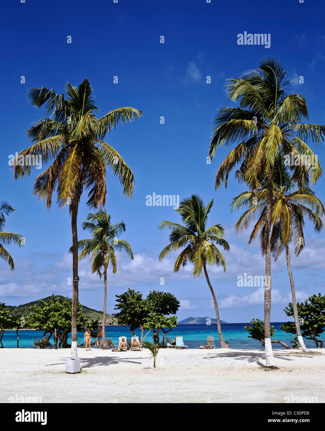 8259. Sapphire Beach, St Thomas, Islas Vírgenes de EE.UU., el Caribe, West Indies Foto de stock