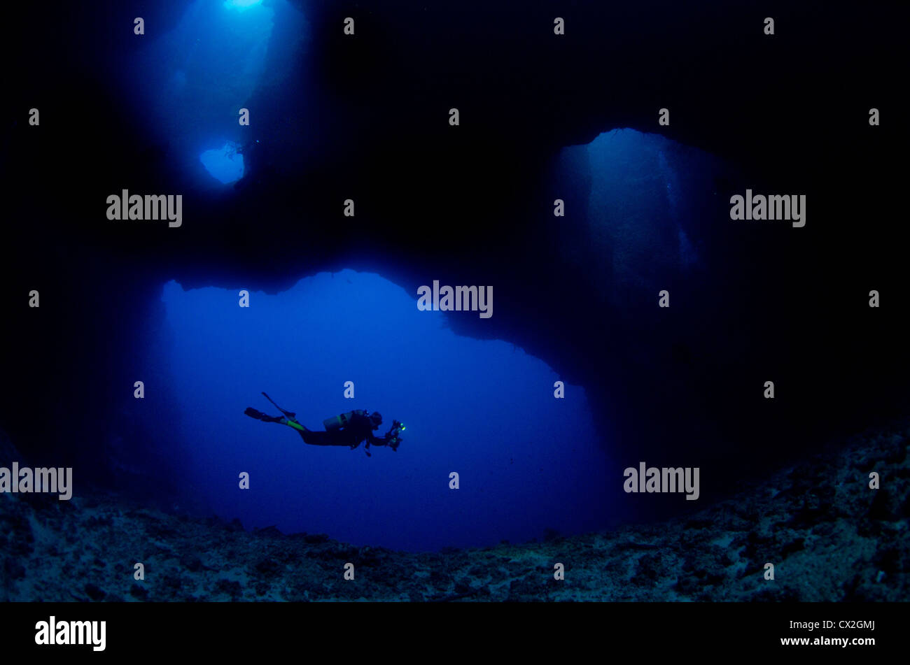 Escena subacuática de Palau, arrecifes de coral, cueva, gruta, diver, silueta, submarinismo, agua azul, agua clara, profunda, Ocean Foto de stock