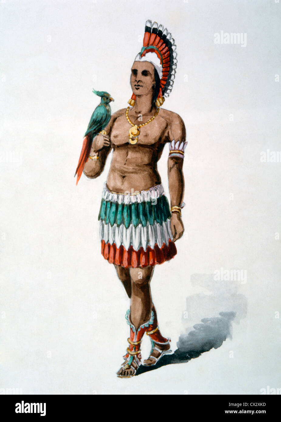 Indios del Caribe trajo de vuelta a España por Cristóbal Colón, la pintura  con acuarela, William L Wells, Exposición Colombina, 1892 Fotografía de  stock - Alamy