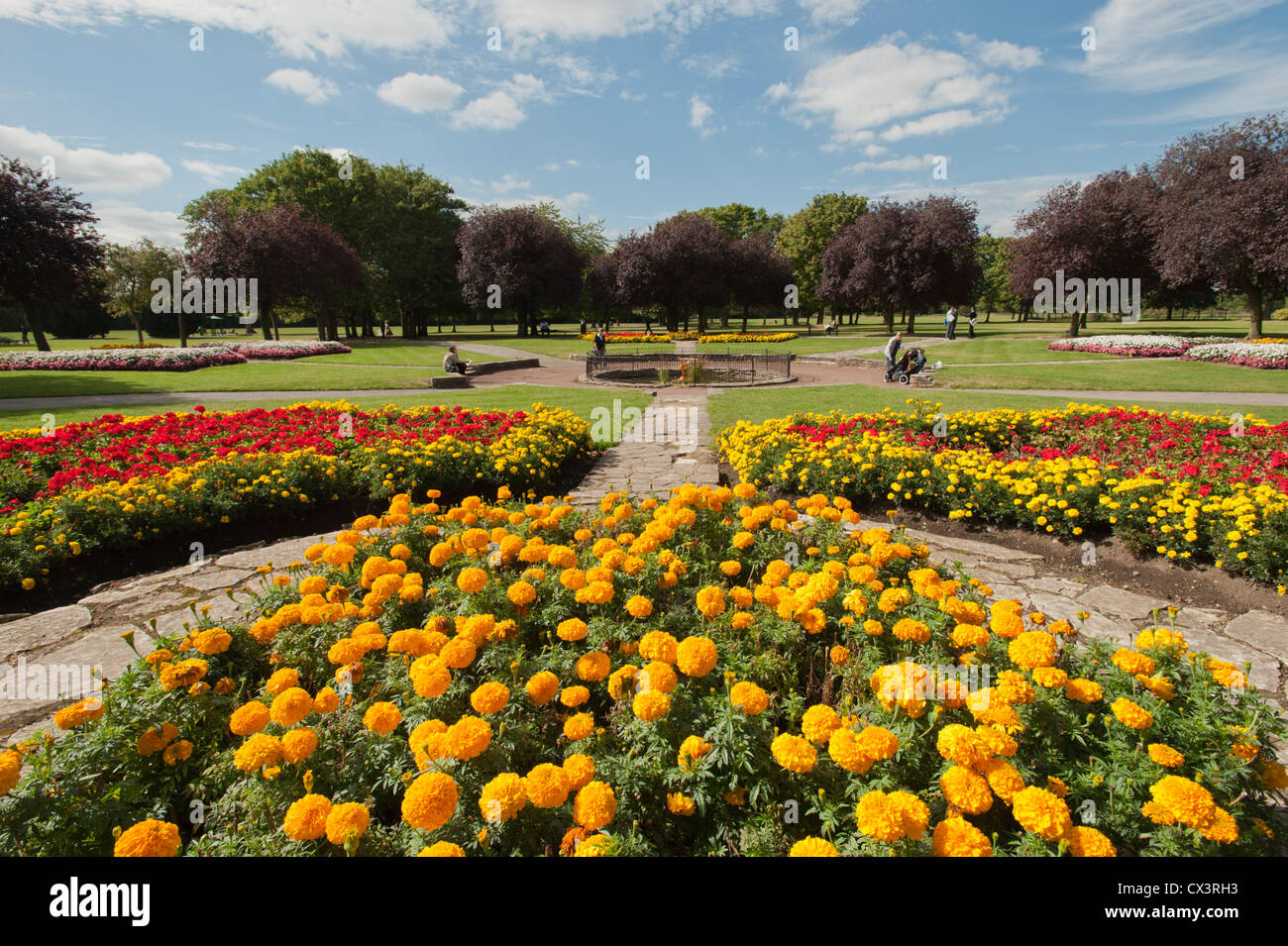 Lampton Parque en el municipio de Hounslow, Londres, Inglaterra, Reino Unido. Foto de stock