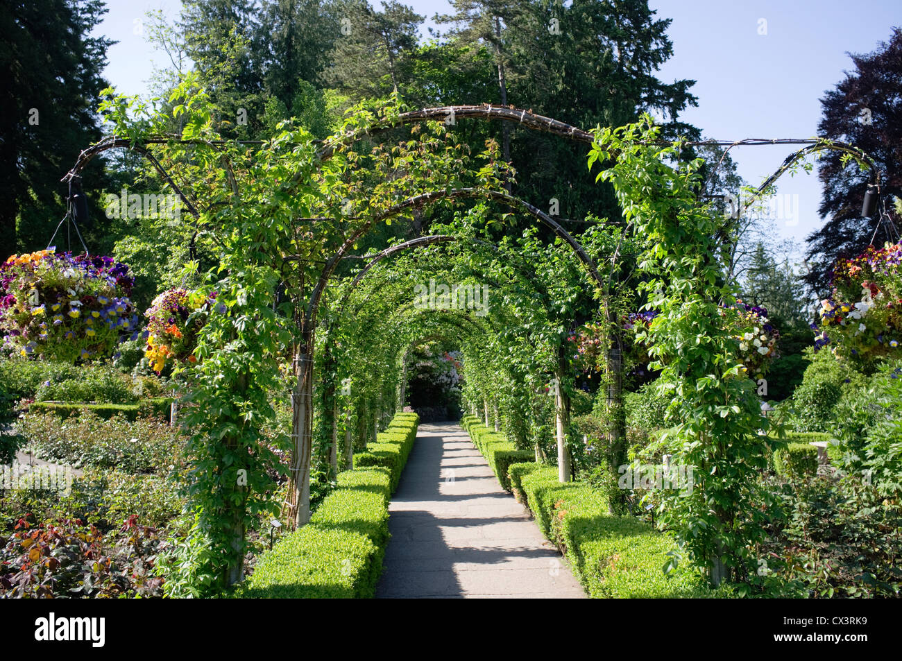 Los Butchart Gardens, Vancouver Island, Canadá Foto de stock