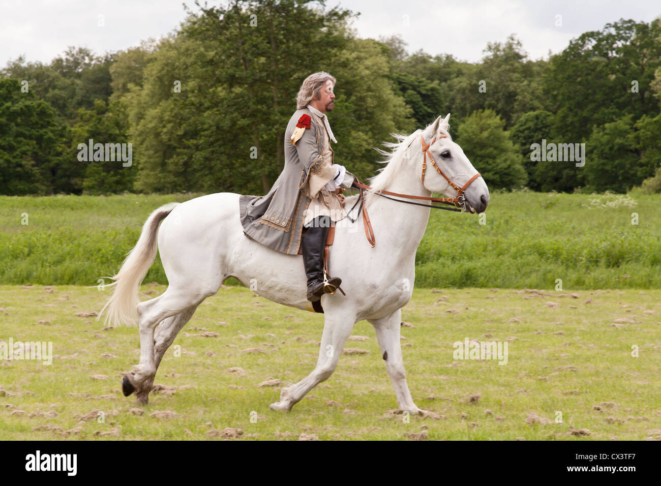 Siglo xvii gentleman inglés montando su caballo gris en el campo. Foto de stock