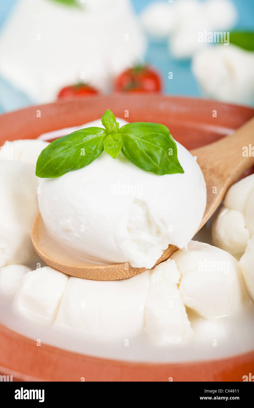 Los productos lácteos frescos italianos en olla de barro Foto de stock