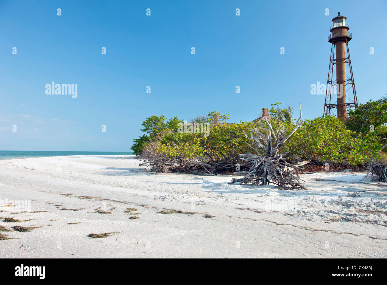 Playa luz Sanibel Island State Park en Sanibel Island, Fort Myers Florida de la costa del golfo de EE.UU. Foto de stock