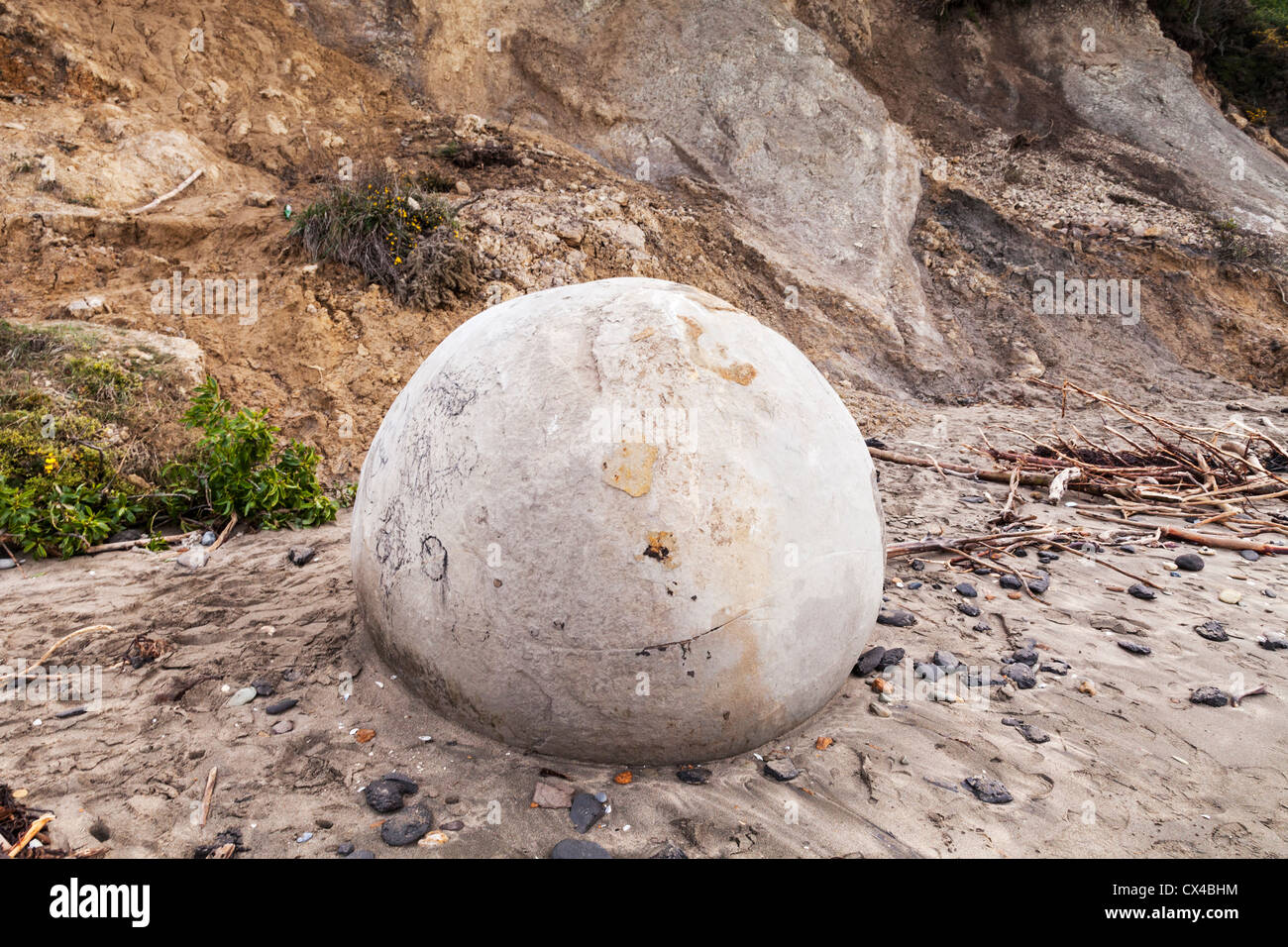 Una roca bastante nuevo o concreción en la playa de Moeraki, antes de que la erosión elimina su superficie. Otago, Nueva Zelanda. Foto de stock
