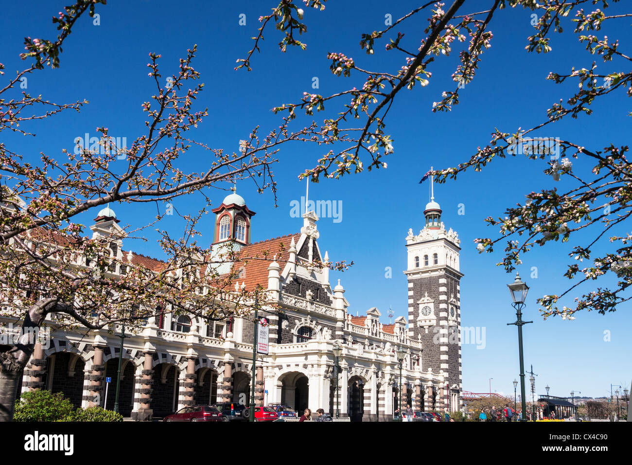 Dunedin Railway Station y primavera en flor. Foto de stock