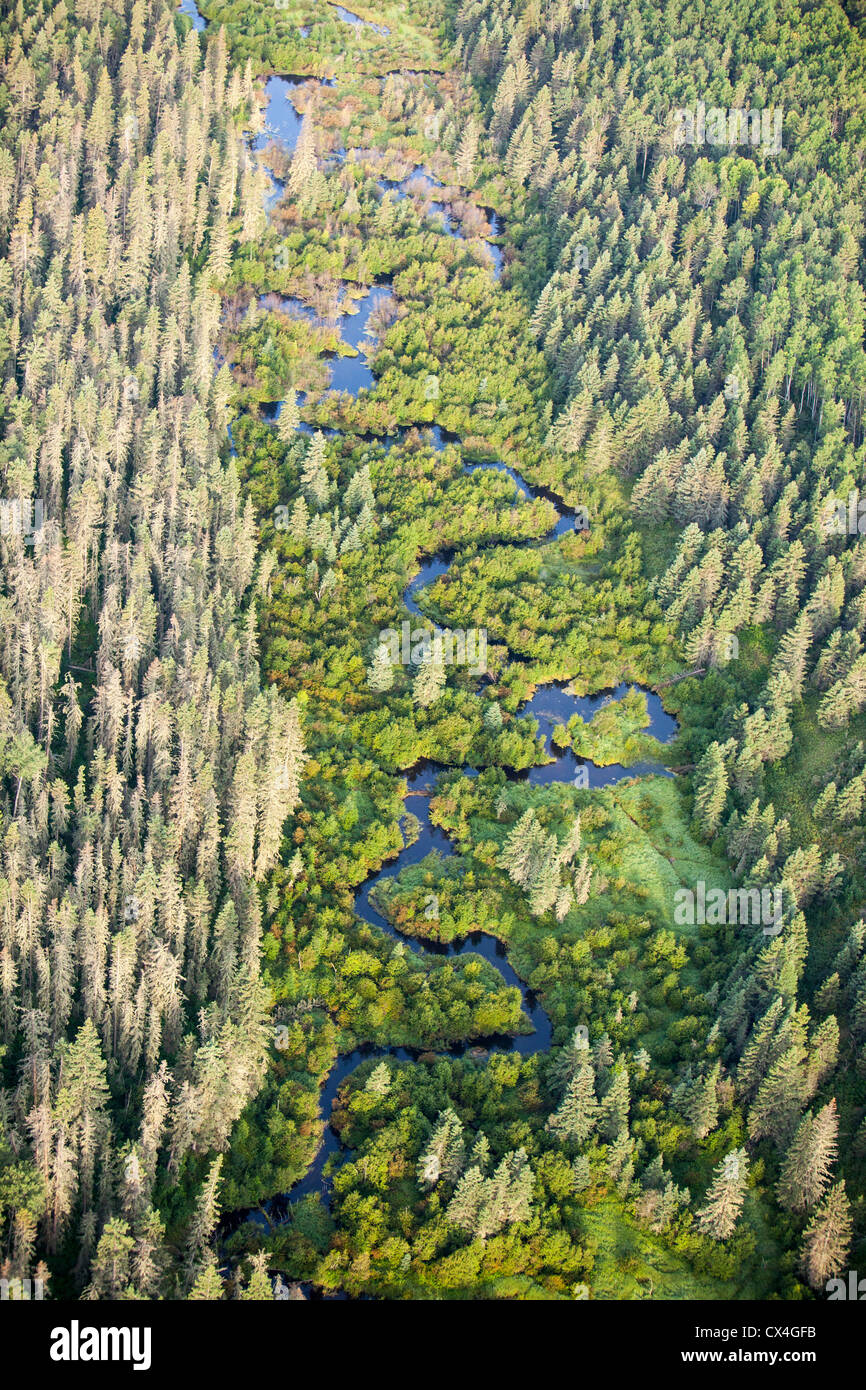 Los bosques boreales en el norte de Alberta, Canadá, cerca de Fort McMurray. Foto de stock