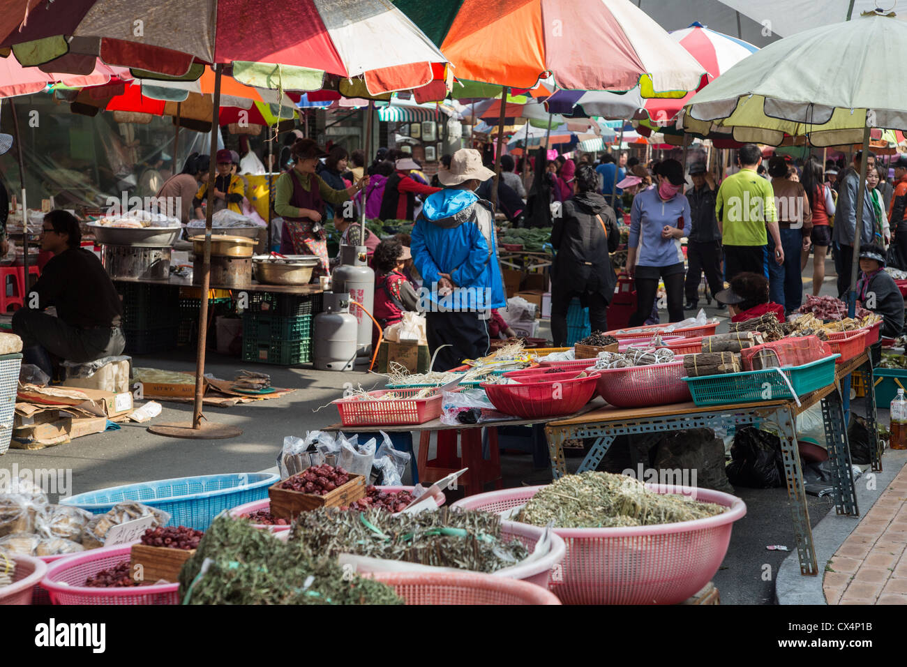 Coloridas sombrillas y los vendedores ambulantes en el mercado al aire libre en Jinhae, Corea del Sur Foto de stock