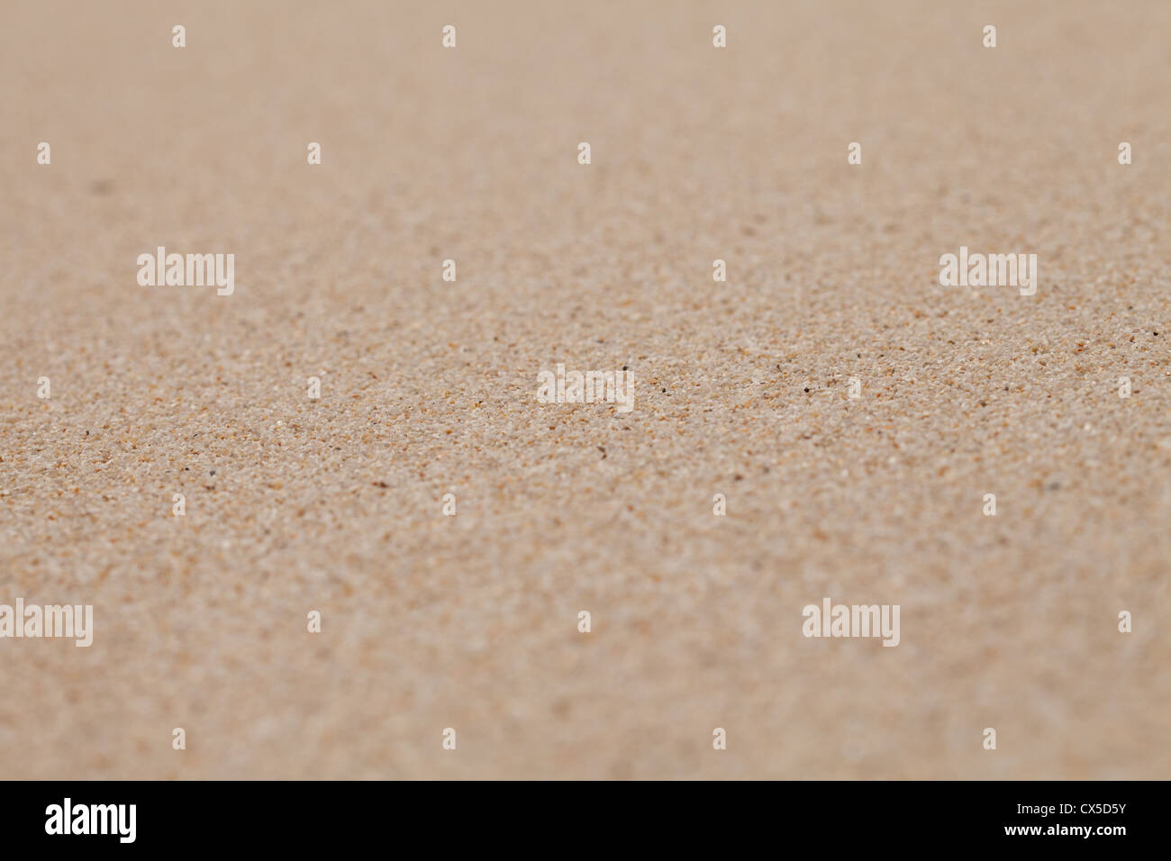 Playa de arena seca y limpia fondo con foco estrecho Foto de stock