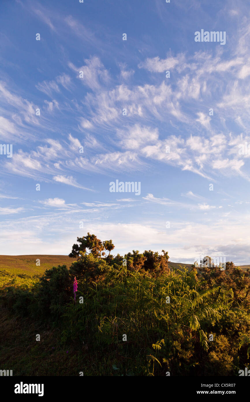 Espectacular atardecer sobre la colina Dunkery cloudscape en Exmoor, Somerset, Reino Unido Foto de stock