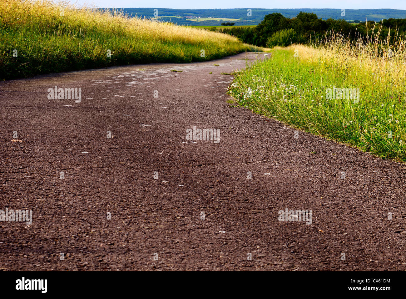 Los campos de una carretera asfaltada en el sol vespertino, verano, por Honzrath/Alemania, Sarre, Foto de stock