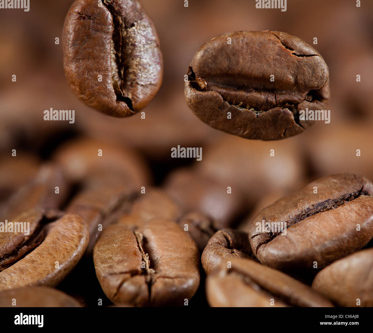 Caída de granos de café macro Foto de stock