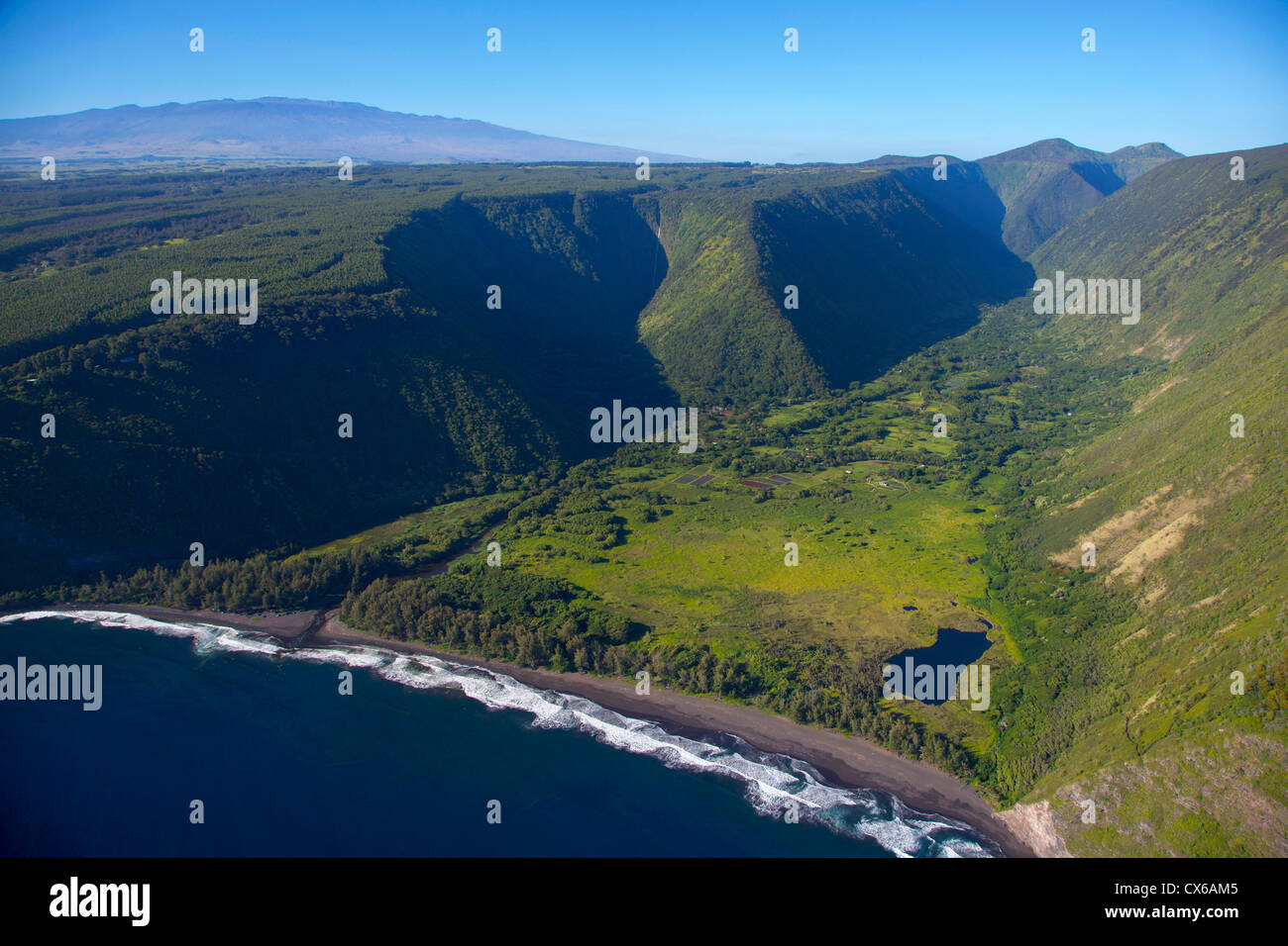 Waipio Valley, en el norte de Kohala, Isla Grande de Hawaii Foto de stock