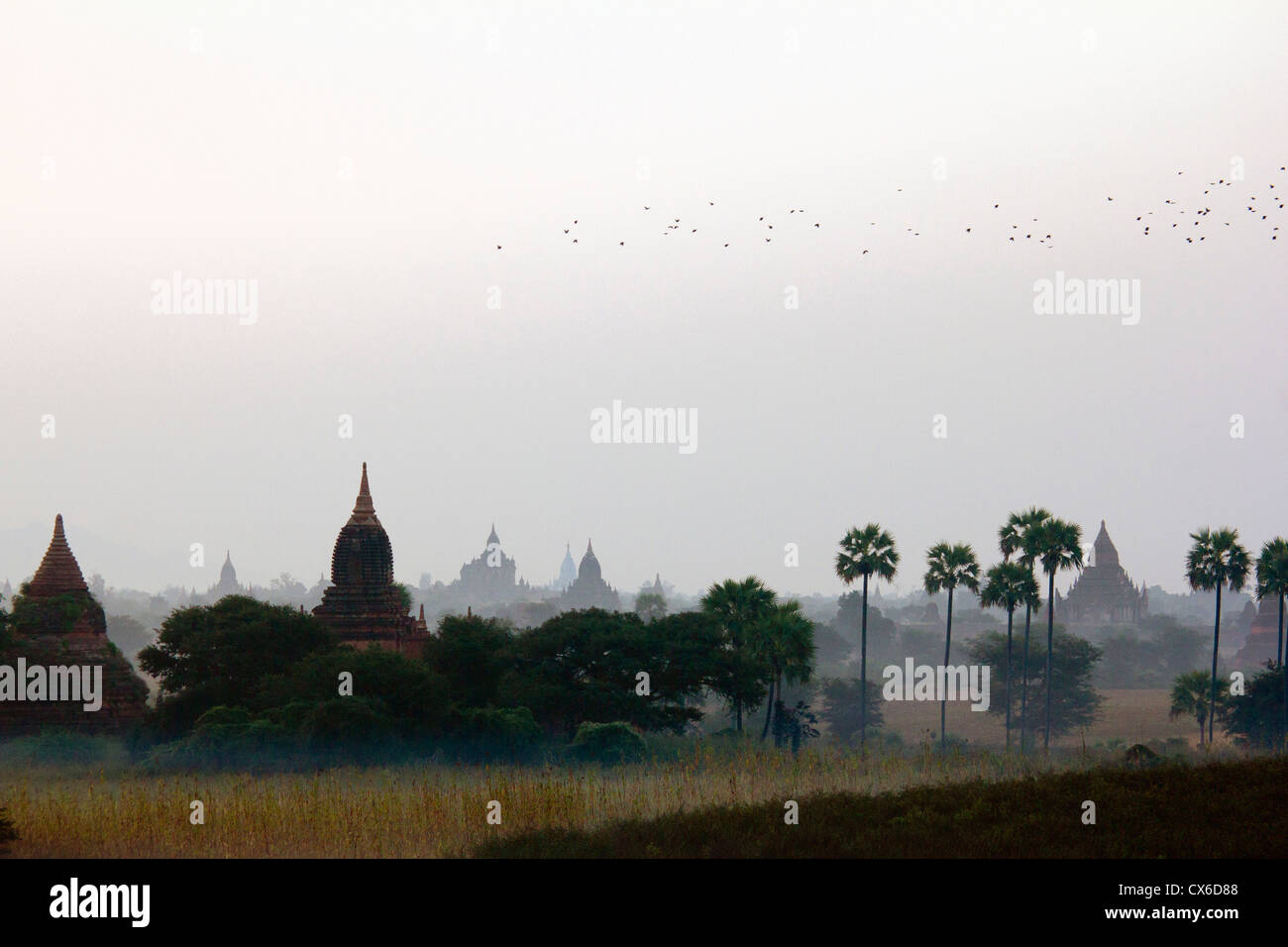 Templos de Bagan, Birmania Foto de stock