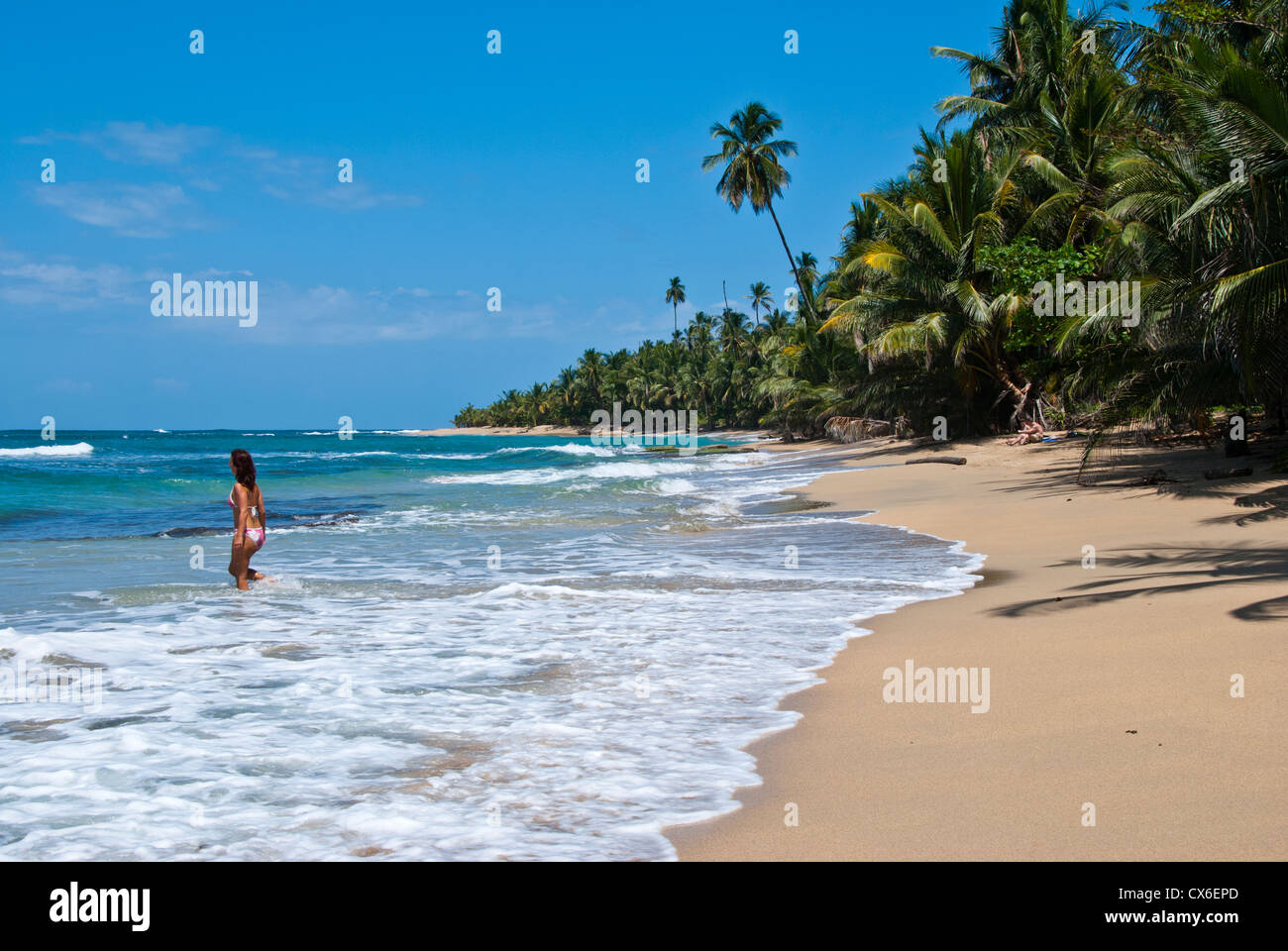 Punta Uva, playa entre Puerto Viejo y Manzanillo. Talamanca. Costa