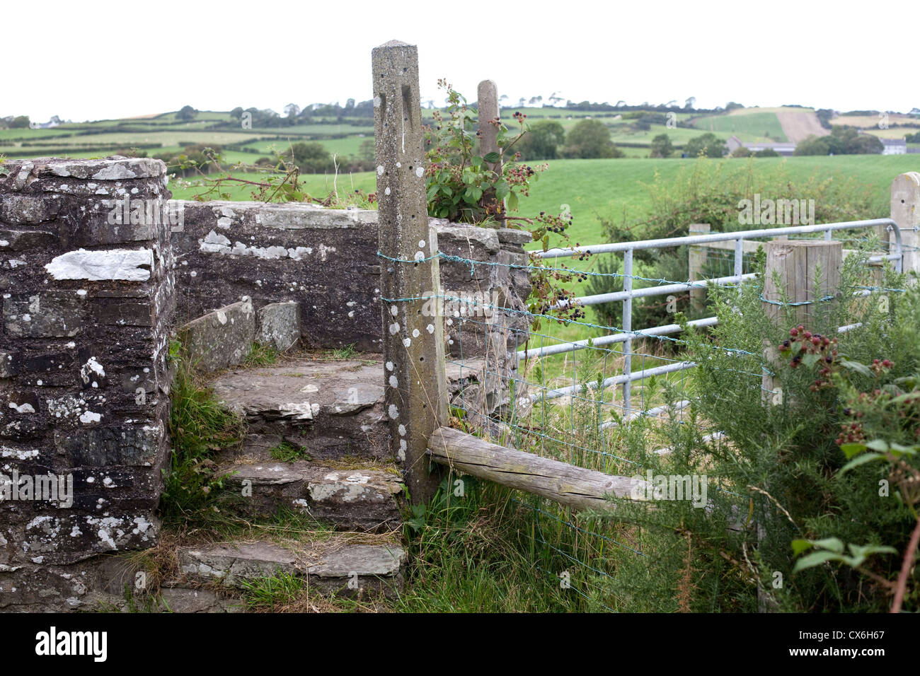 Camino a neolítico Ballynoe Stone Circle, la Península Lecale, Condado de Down, Irlanda del Norte Foto de stock