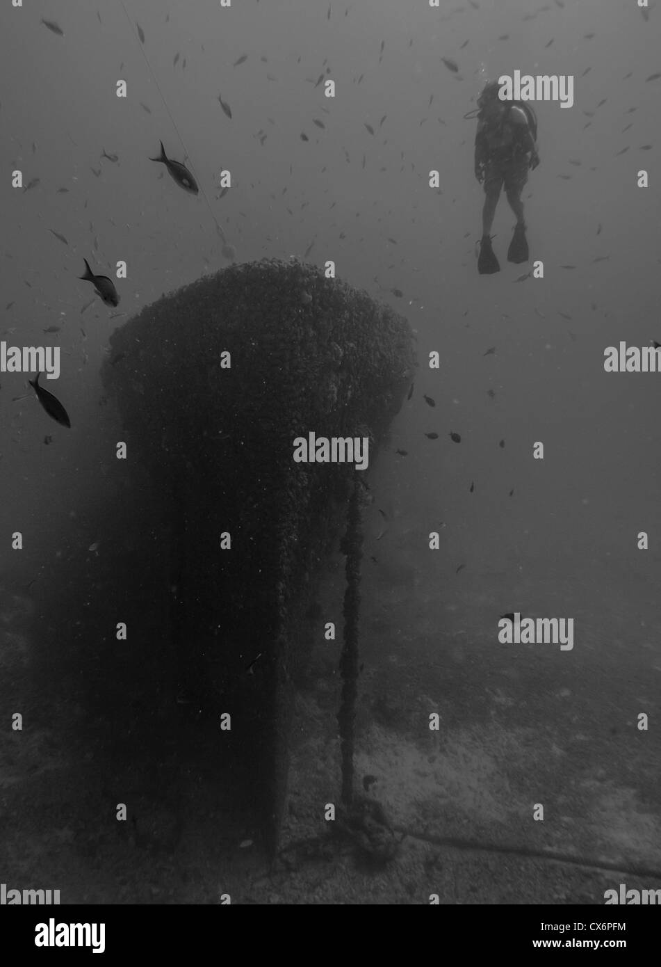 SCUBA Diver explorando la USCG Duane naufragio en Key Largo, Florida, EE.UU. Foto de stock