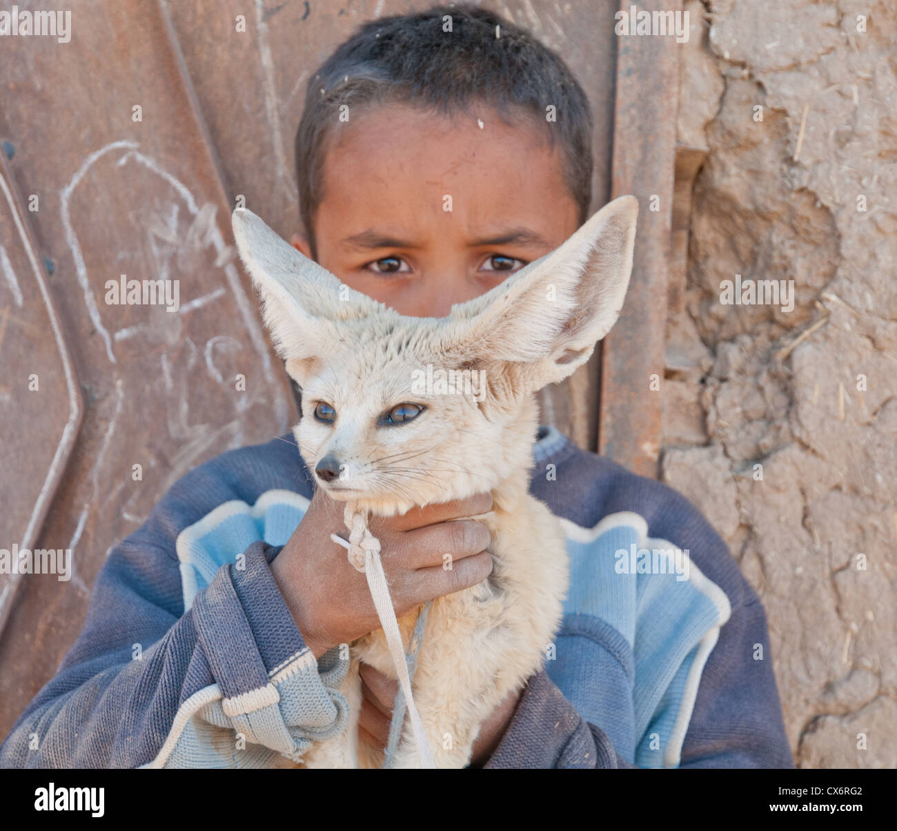 Un niño sosteniendo un zorro del desierto en la pequeña ciudad del desierto de Merzouga, Marruecos Foto de stock