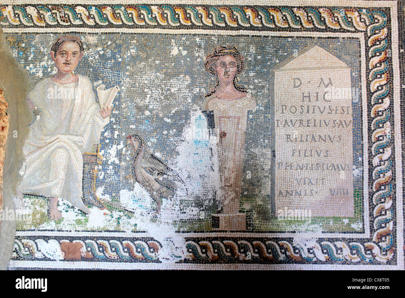 Mosaic (siglo III), el museo arqueológico, Dividir, Dalmacia, Croacia Foto de stock