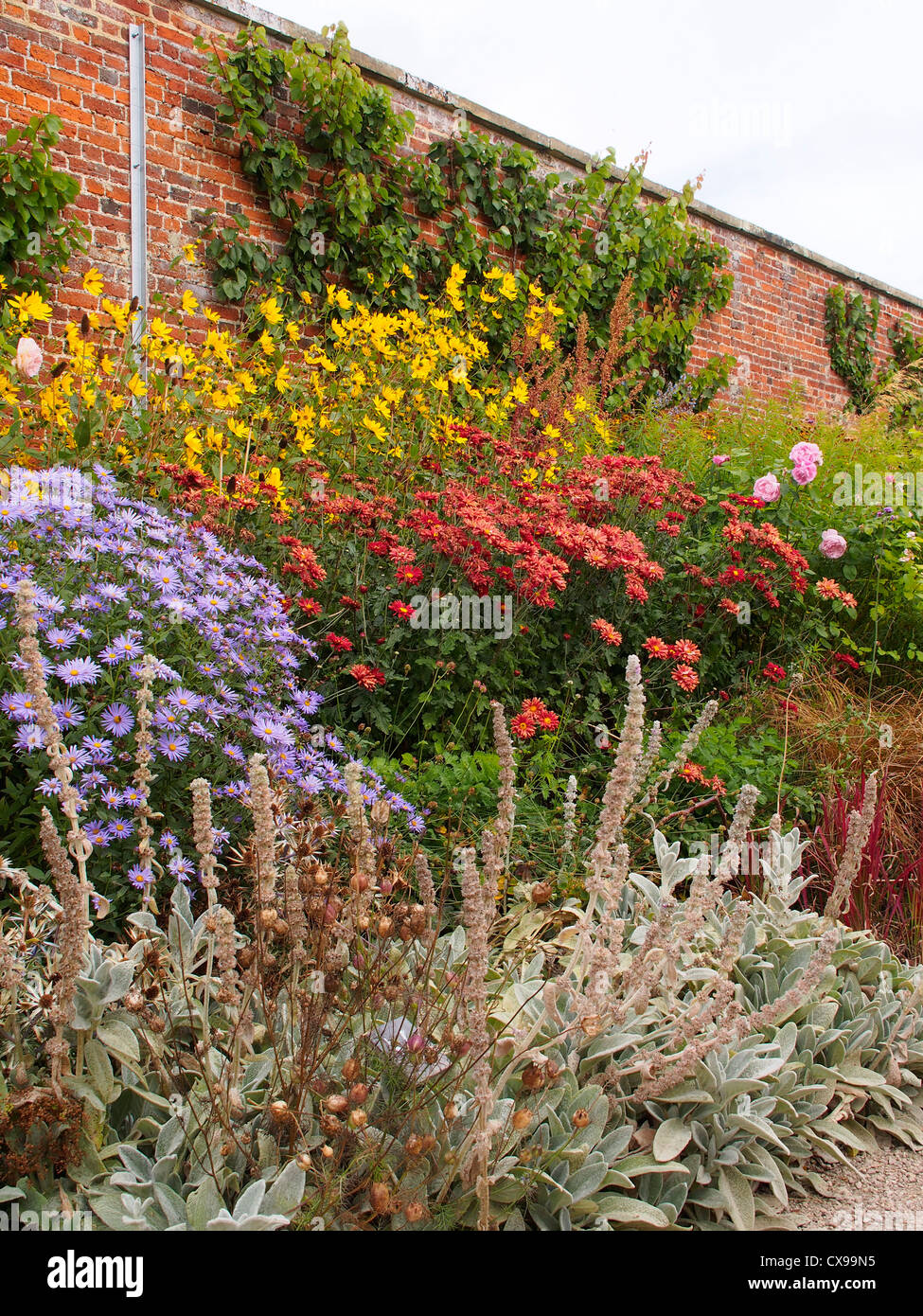 Un fantástico color del jardín amurallado en el National Trusts Wimpole Estate en Arrington, Royston, cerca de Cambridge. Foto de stock