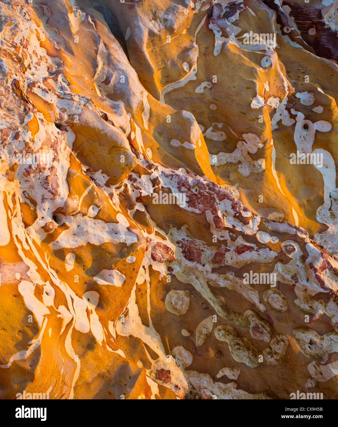 Calentar la luz solar en las rocas en la costa de Darwin, el Territorio del Norte, Australia Foto de stock