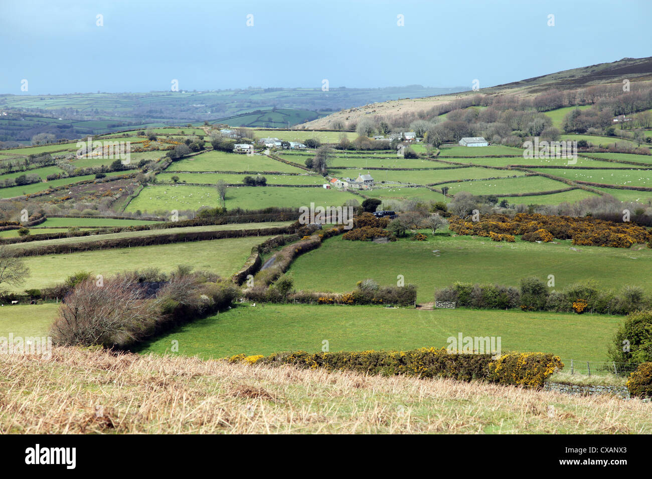 Campos y granjas en el borde noreste de Dartmoor mirando hacia Chagford, Devon, Inglaterra, Reino Unido, Europa Foto de stock