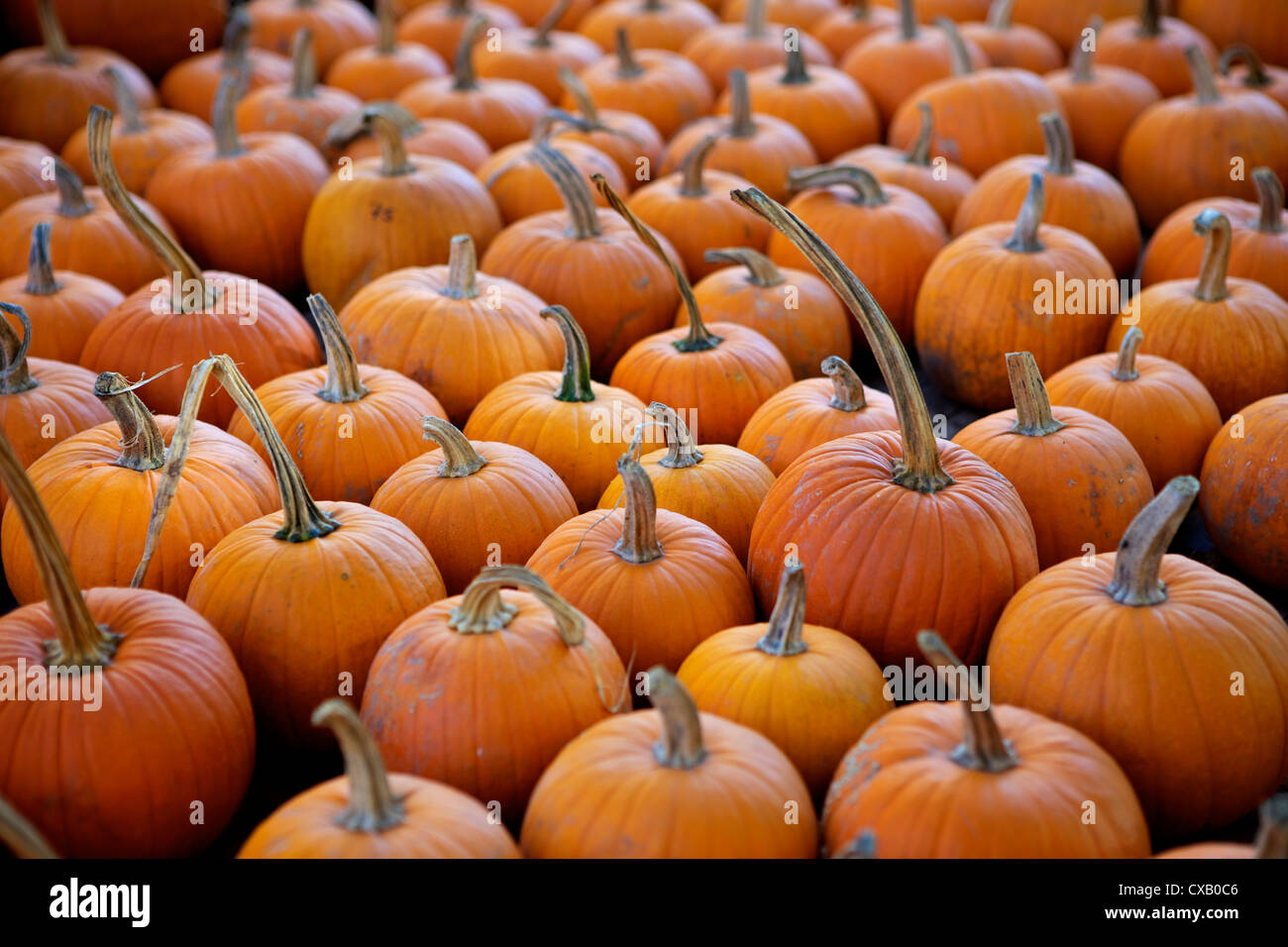 Granja Estados Unidos De America Fotos e Imágenes de stock Alamy