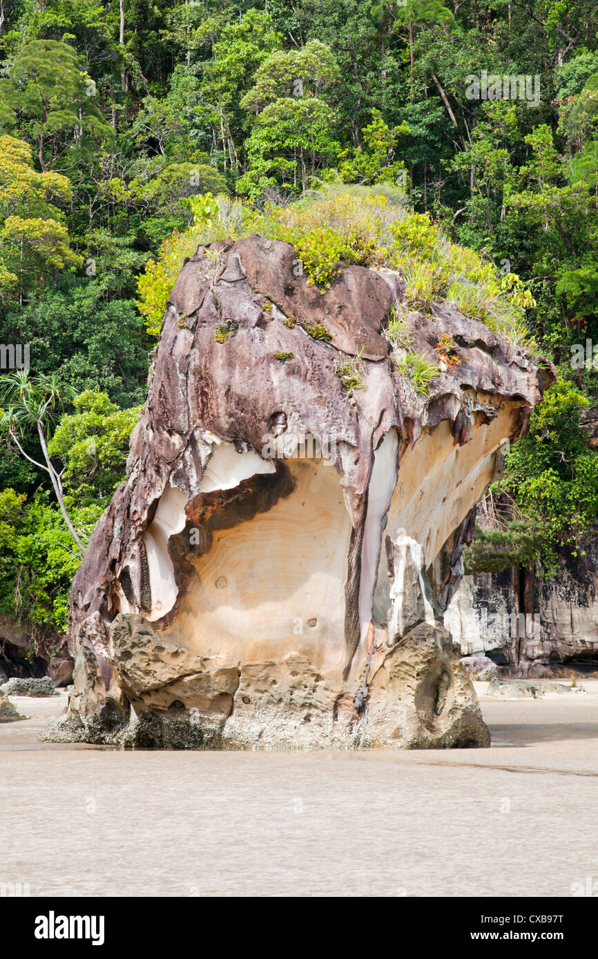 Rock al Parque Nacional Bako, Borneo Foto de stock