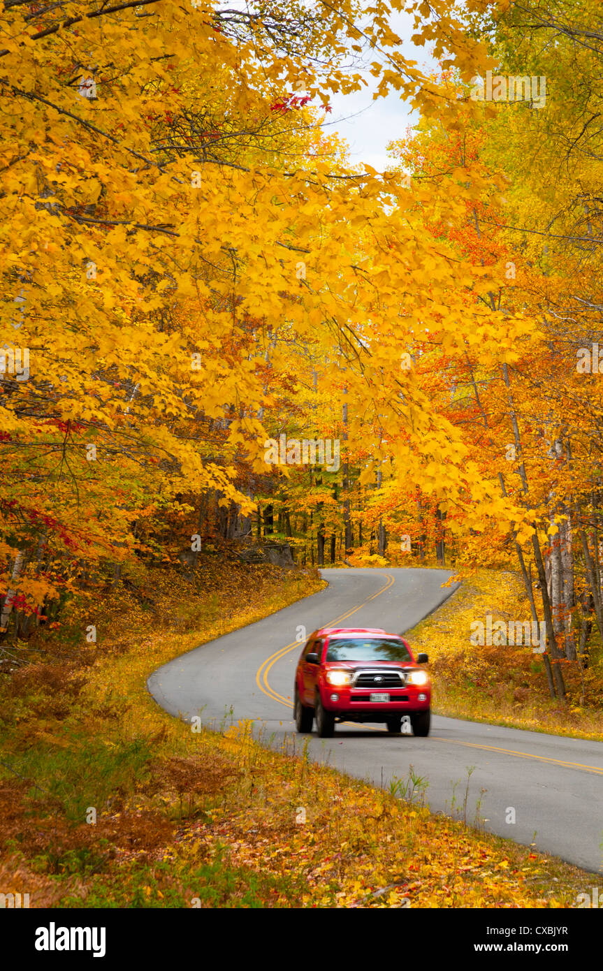 Millinocket a Baxter State Park Road, Maine, Nueva Inglaterra, Estados Unidos de América, América del Norte Foto de stock