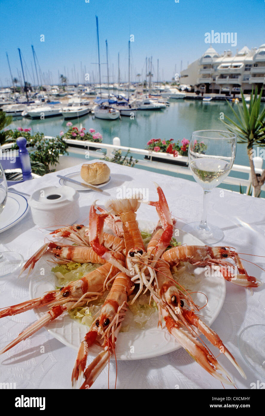 Cigalas el plato en el restaurante El Mero Puerto Marina en Benalmádena  Málaga Costa del Sol Andalucía España Fotografía de stock - Alamy