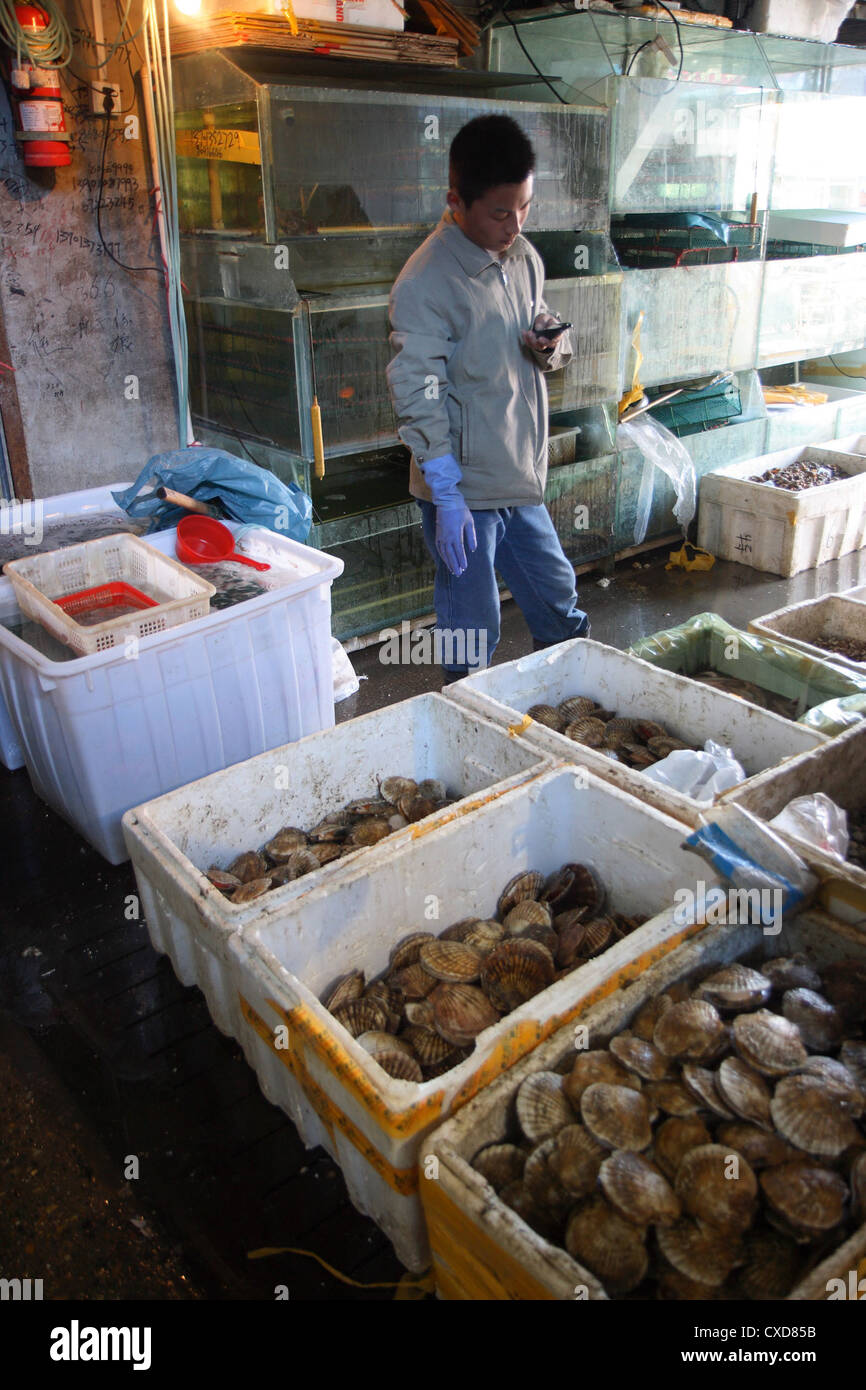Beijing, distribuidor vende conchas de mar y otros animales marinos. Foto de stock