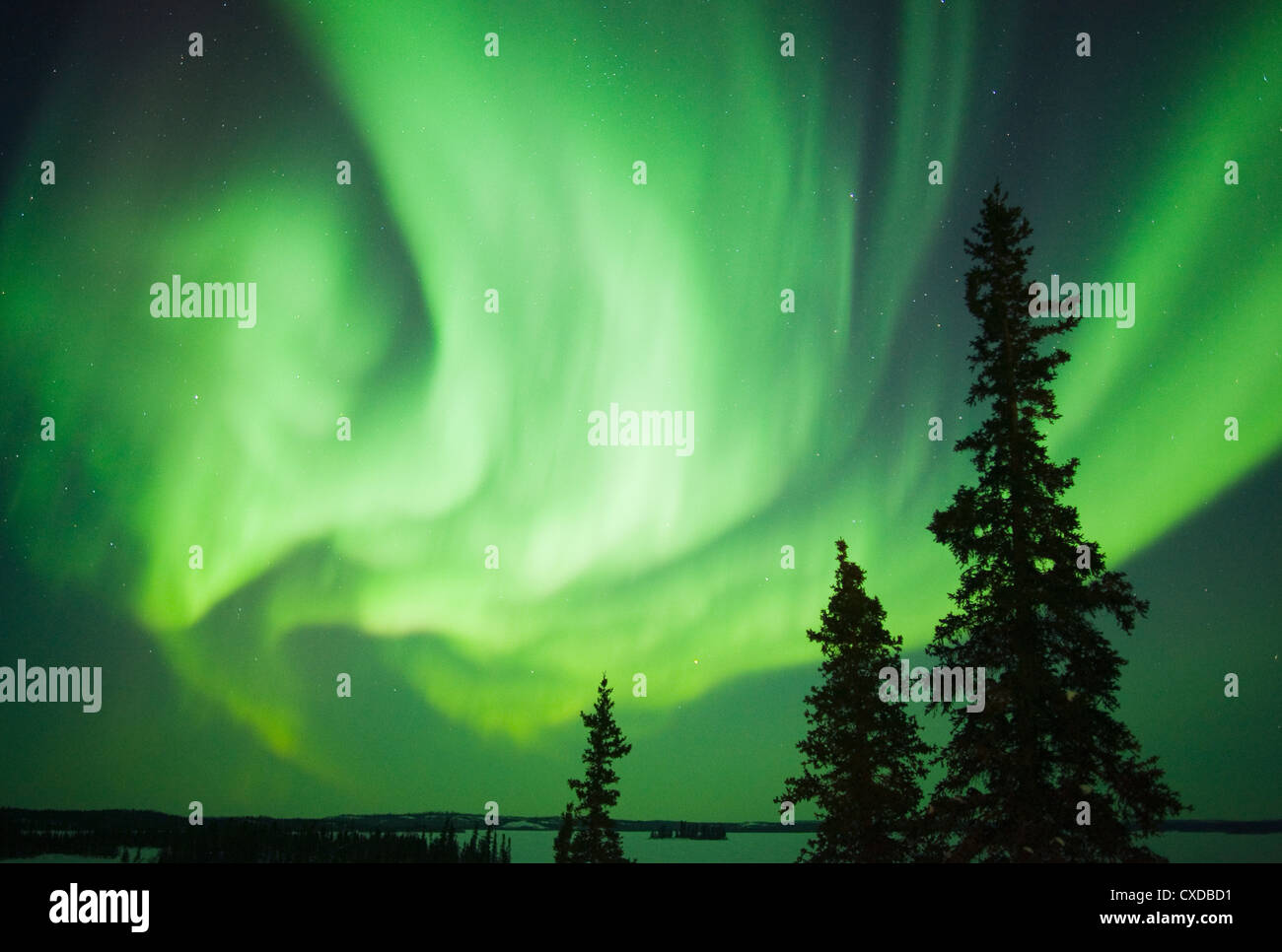 La Aurora Boreal o Luces del Norte, los Territorios del Noroeste, Canadá Foto de stock