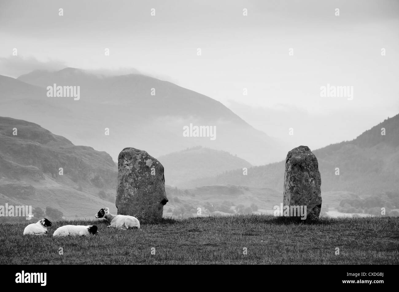 Ovejas descansando en las piedras de Castlerigg Foto de stock