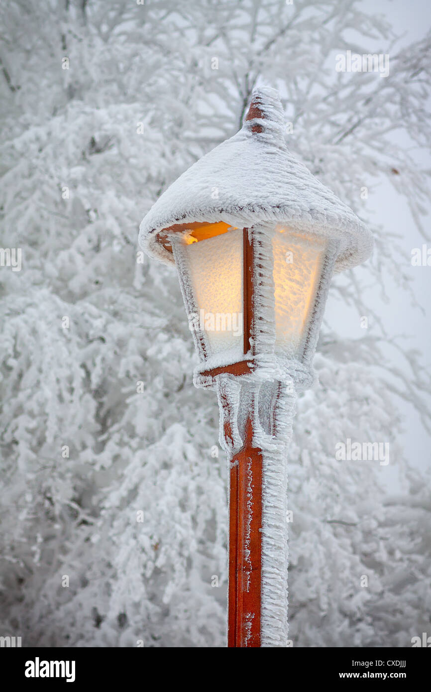Muy brillante lámpara de calle nevada Foto de stock